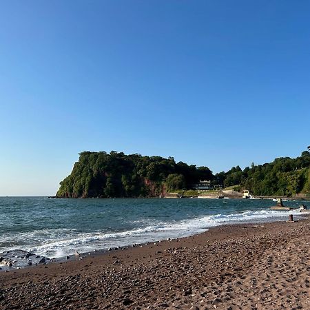 Seaview At No. 26 Northumberland Place Teignmouth Zewnętrze zdjęcie